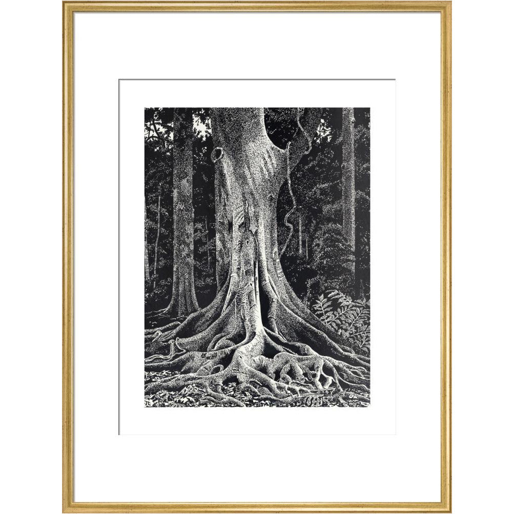 Forest Giant - art print