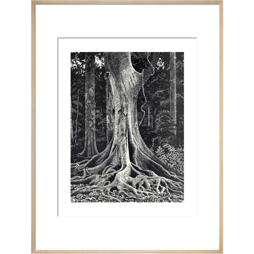 Forest Giant - art print