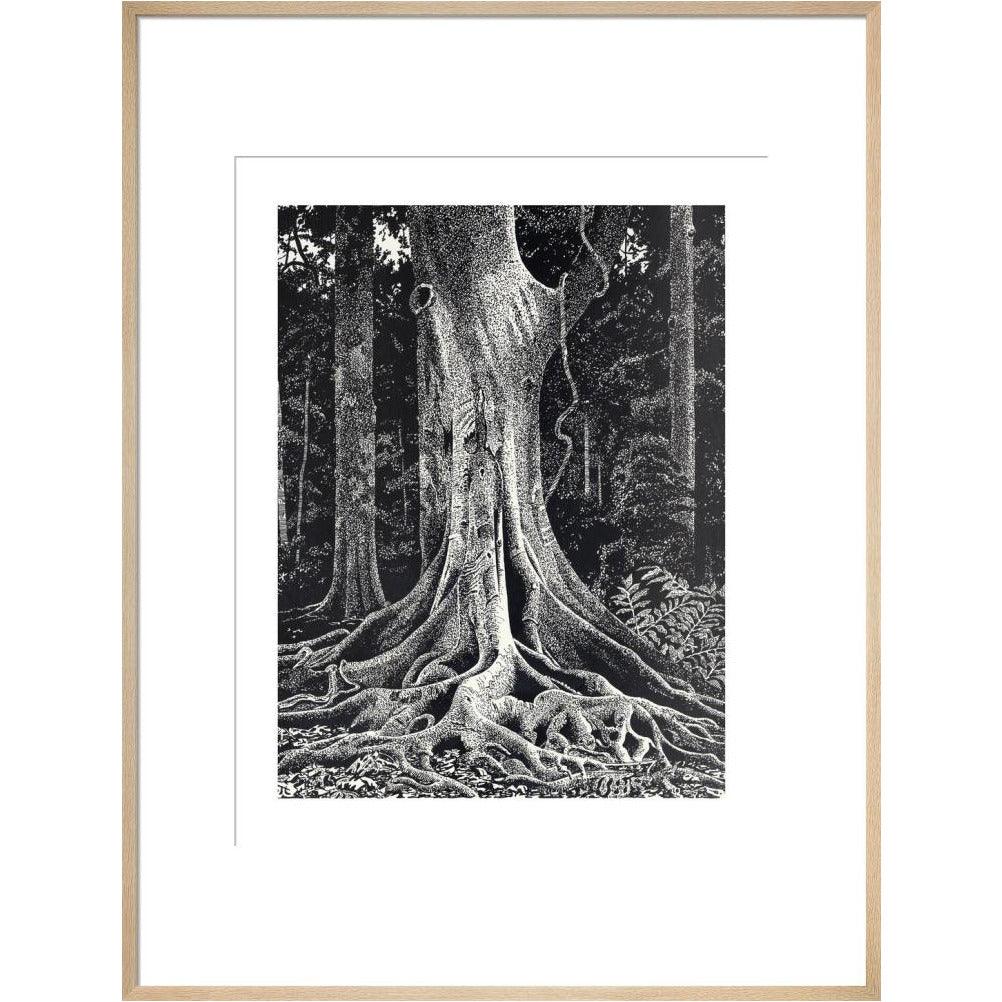 Forest Giant - art print