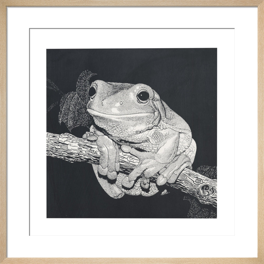 Green Tree Frog - art print