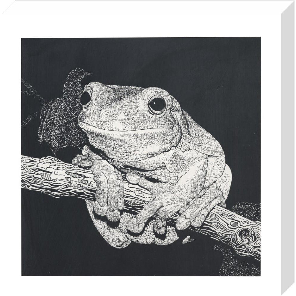 Green Tree Frog - art print