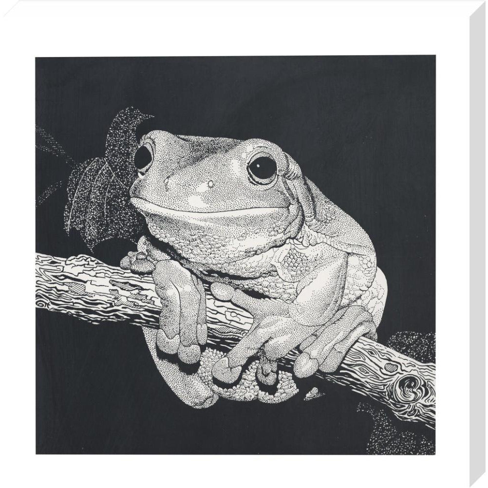 Green Tree Frog - art print