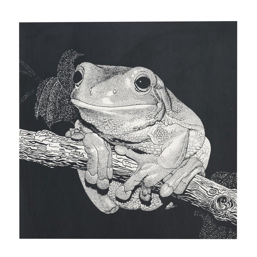 Green Tree Frog - art print