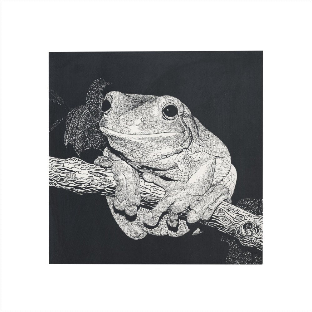 Green Tree Frog - art print