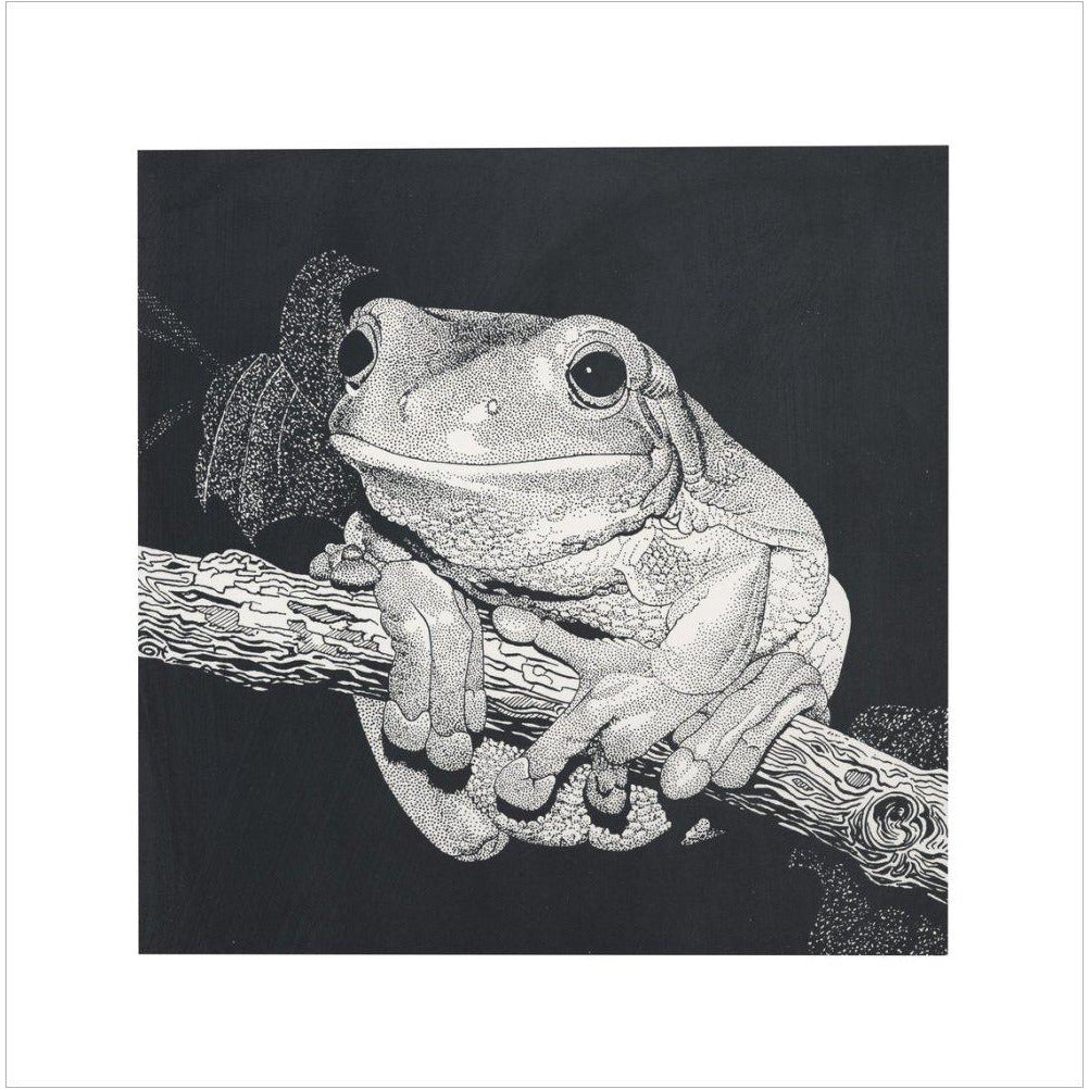 Green Tree Frog - art print