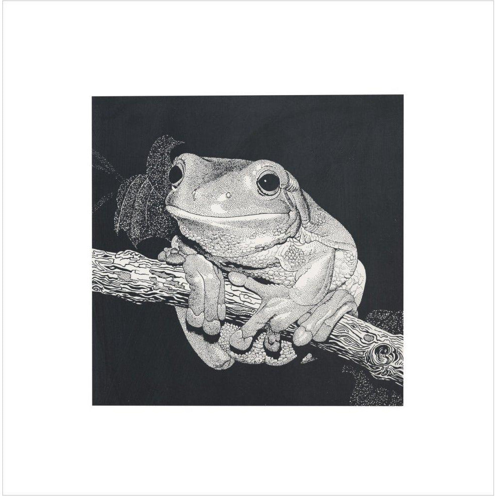 Green Tree Frog - art print