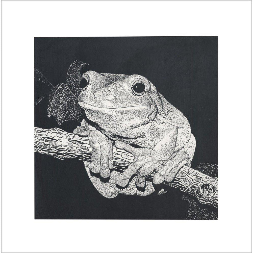 Green Tree Frog - art print