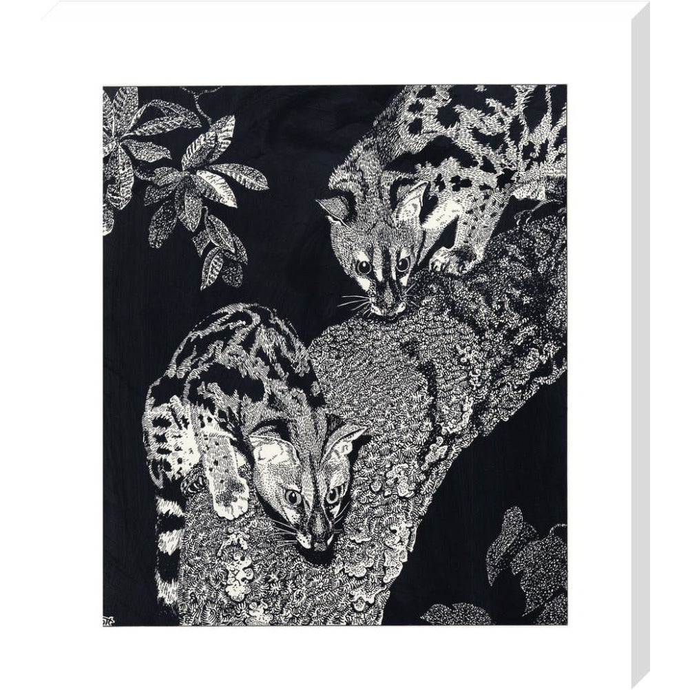 Large Spotted Genet - art print