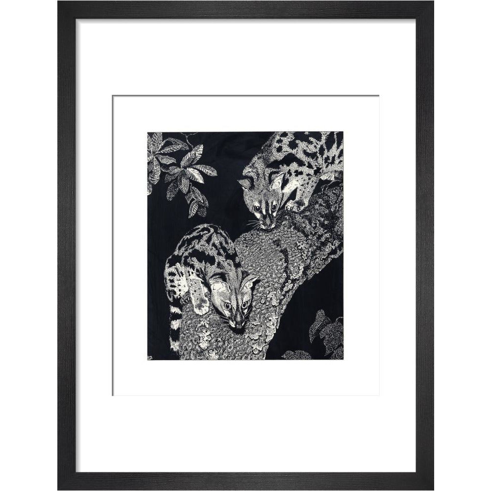 Large Spotted Genet - art print