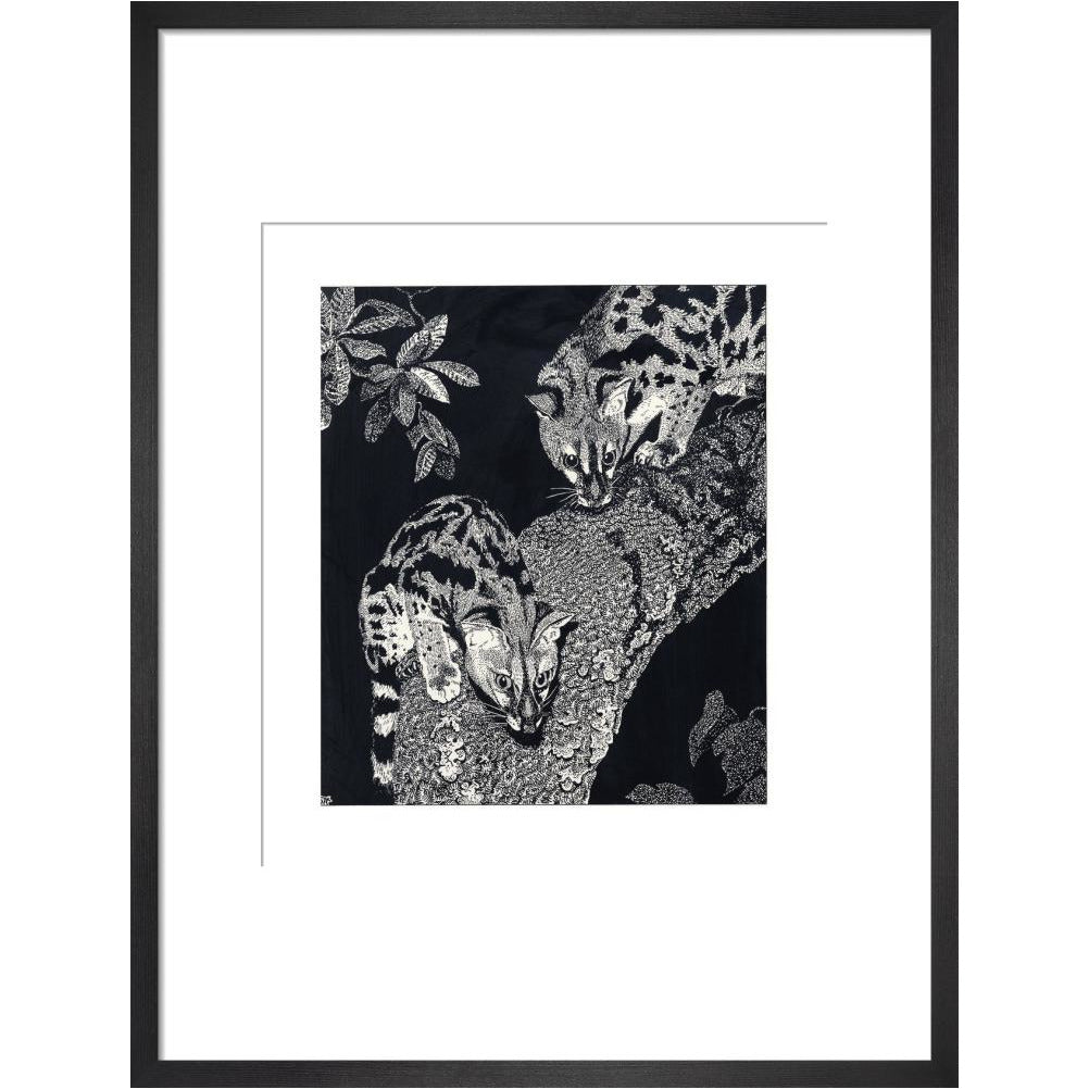 Large Spotted Genet - art print