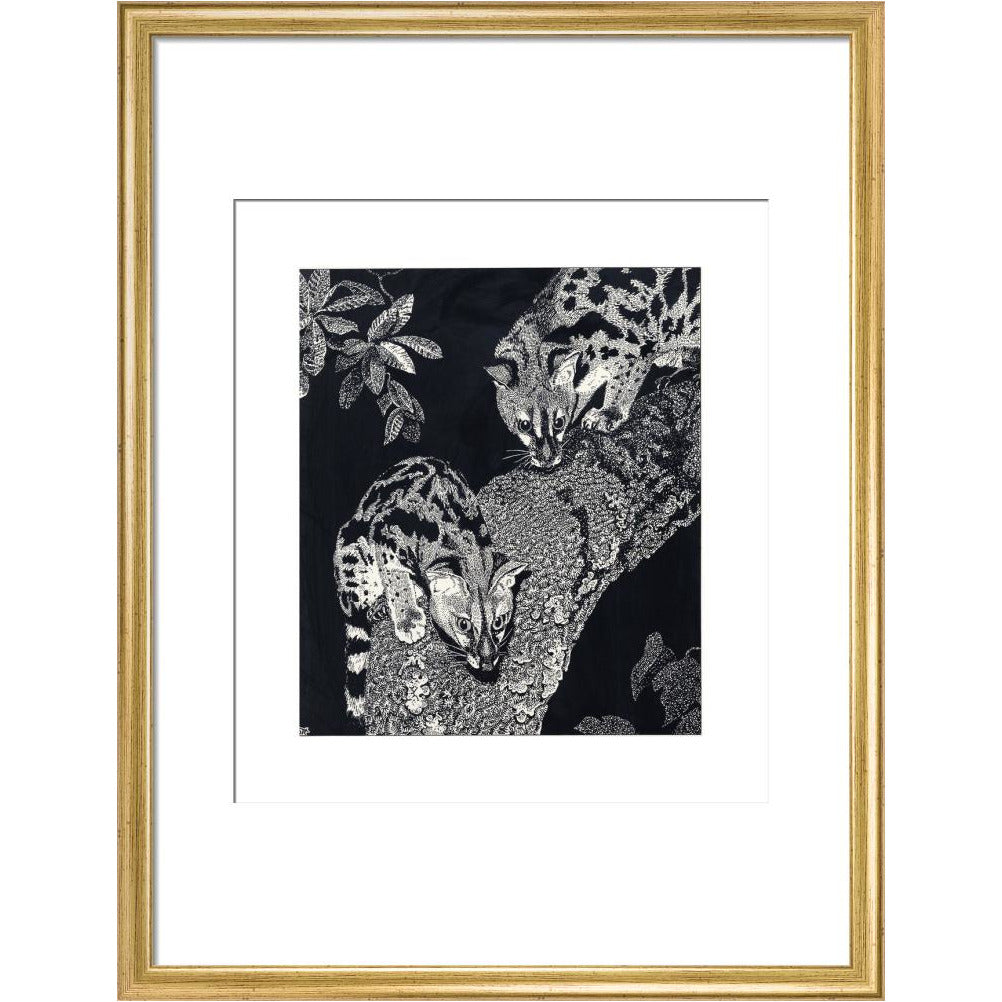 Large Spotted Genet - art print
