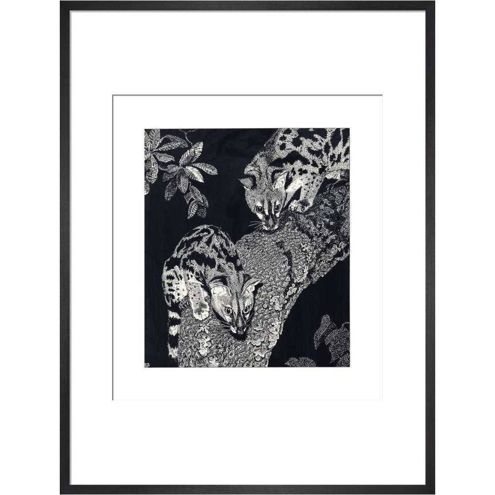 Large Spotted Genet - art print