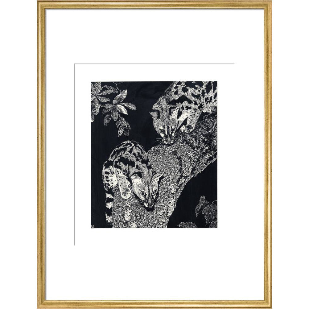 Large Spotted Genet - art print