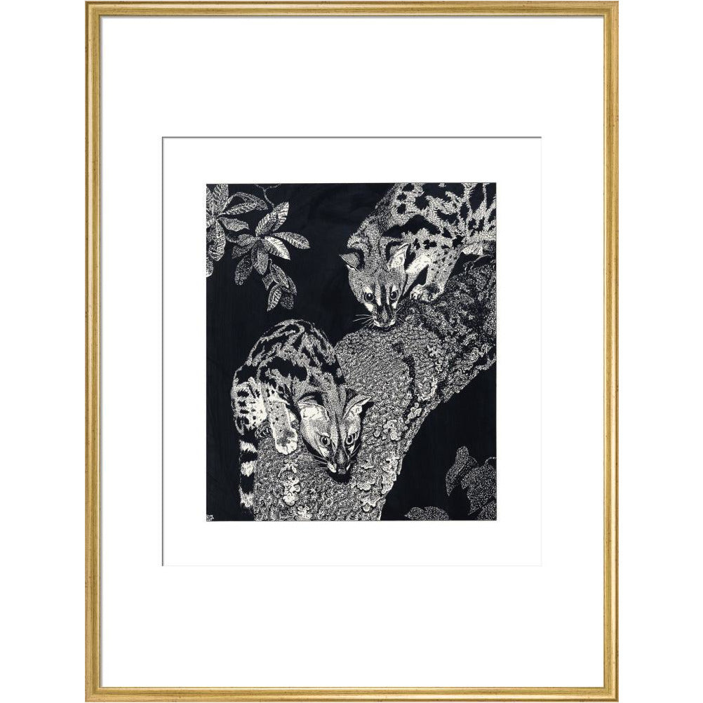 Large Spotted Genet - art print