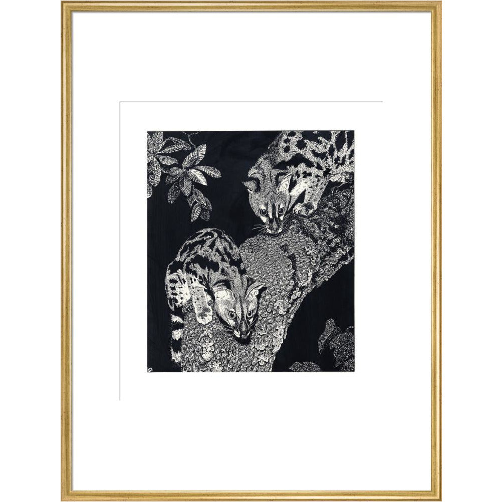 Large Spotted Genet - art print