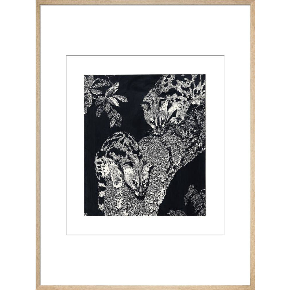 Large Spotted Genet - art print