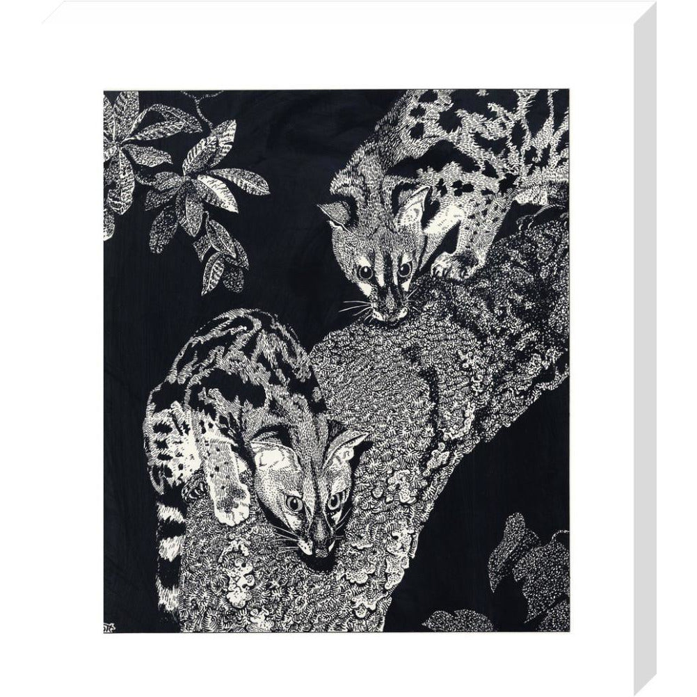 Large Spotted Genet - art print