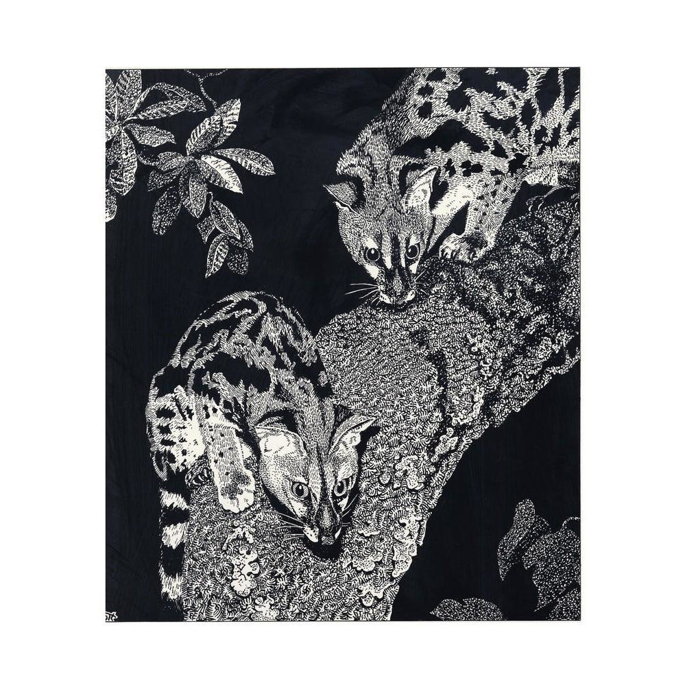 Large Spotted Genet - art print