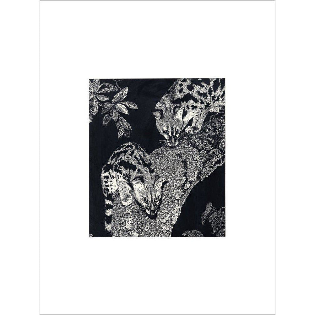 Large Spotted Genet - art print
