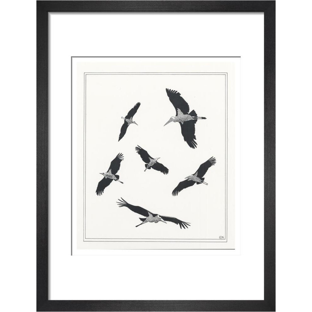 Marabou Sailing - art print