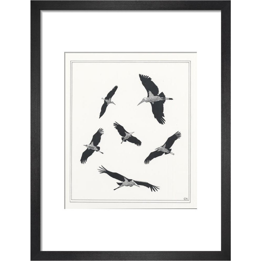 Marabou Sailing - art print