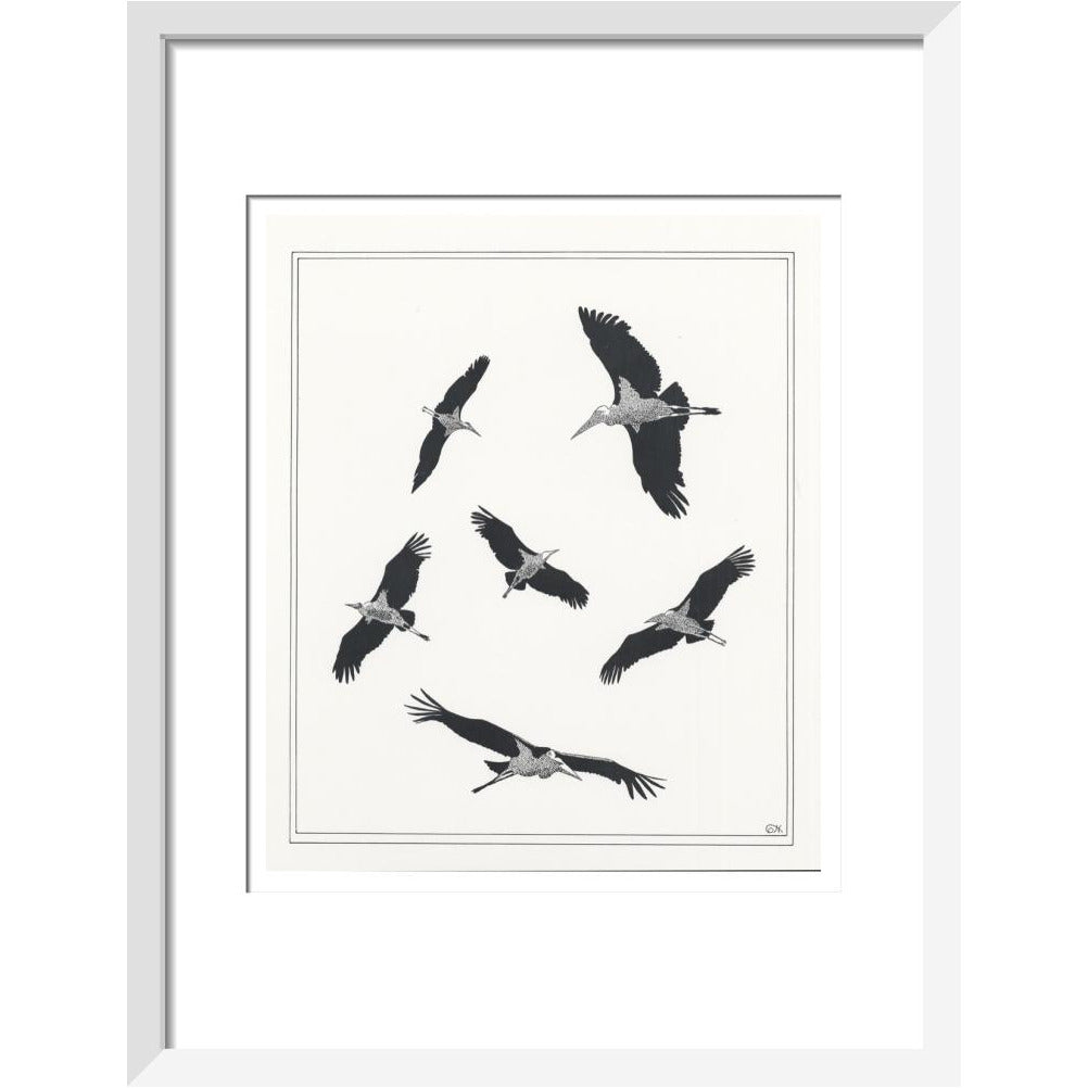 Marabou Sailing - art print