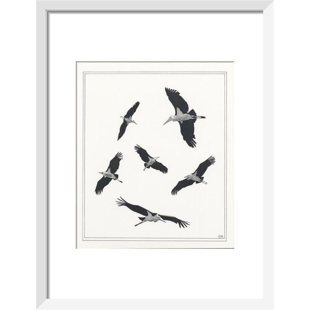 Marabou Sailing - art print