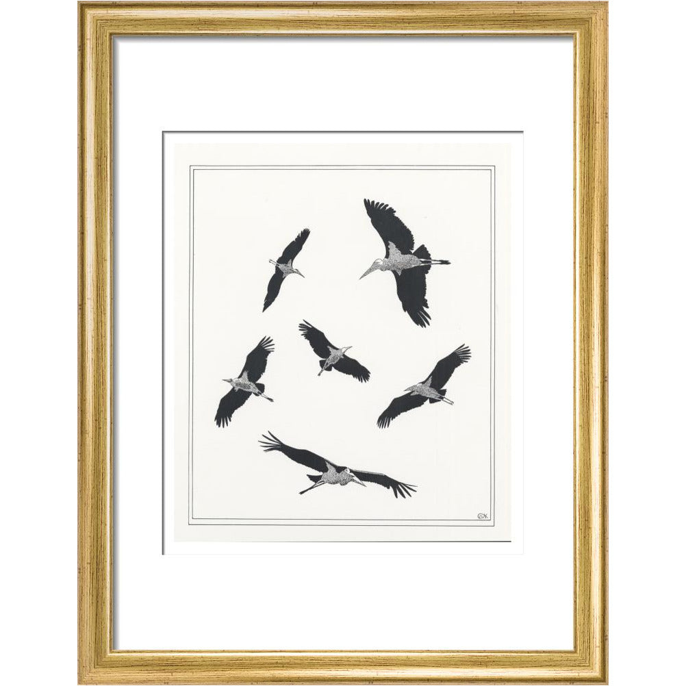 Marabou Sailing - art print