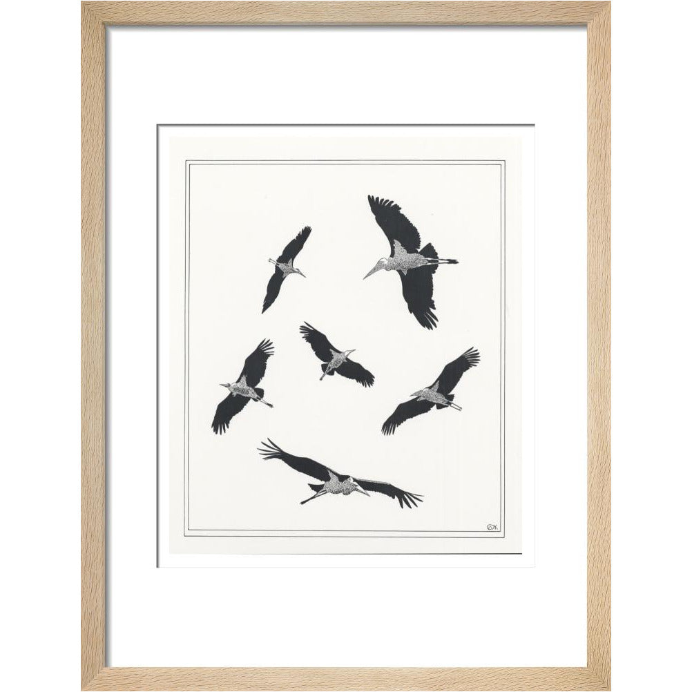 Marabou Sailing - art print