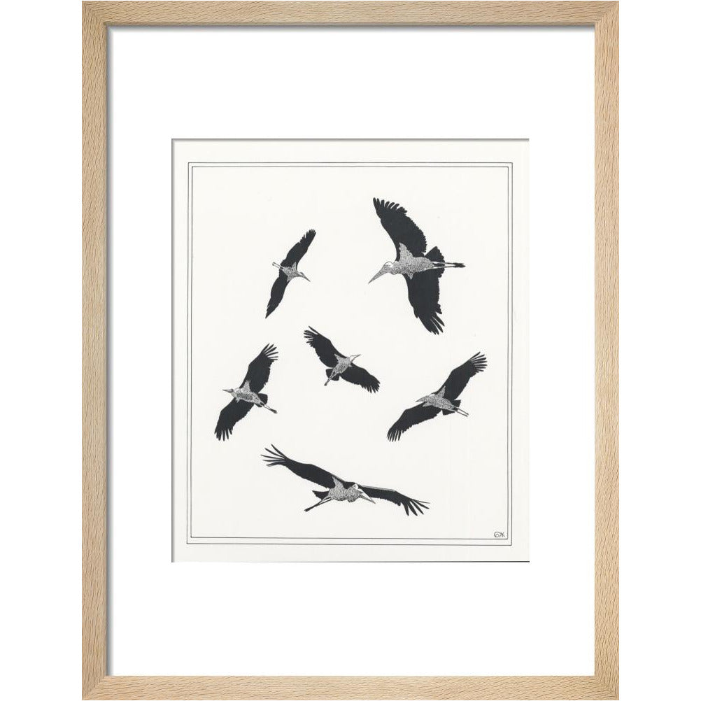 Marabou Sailing - art print