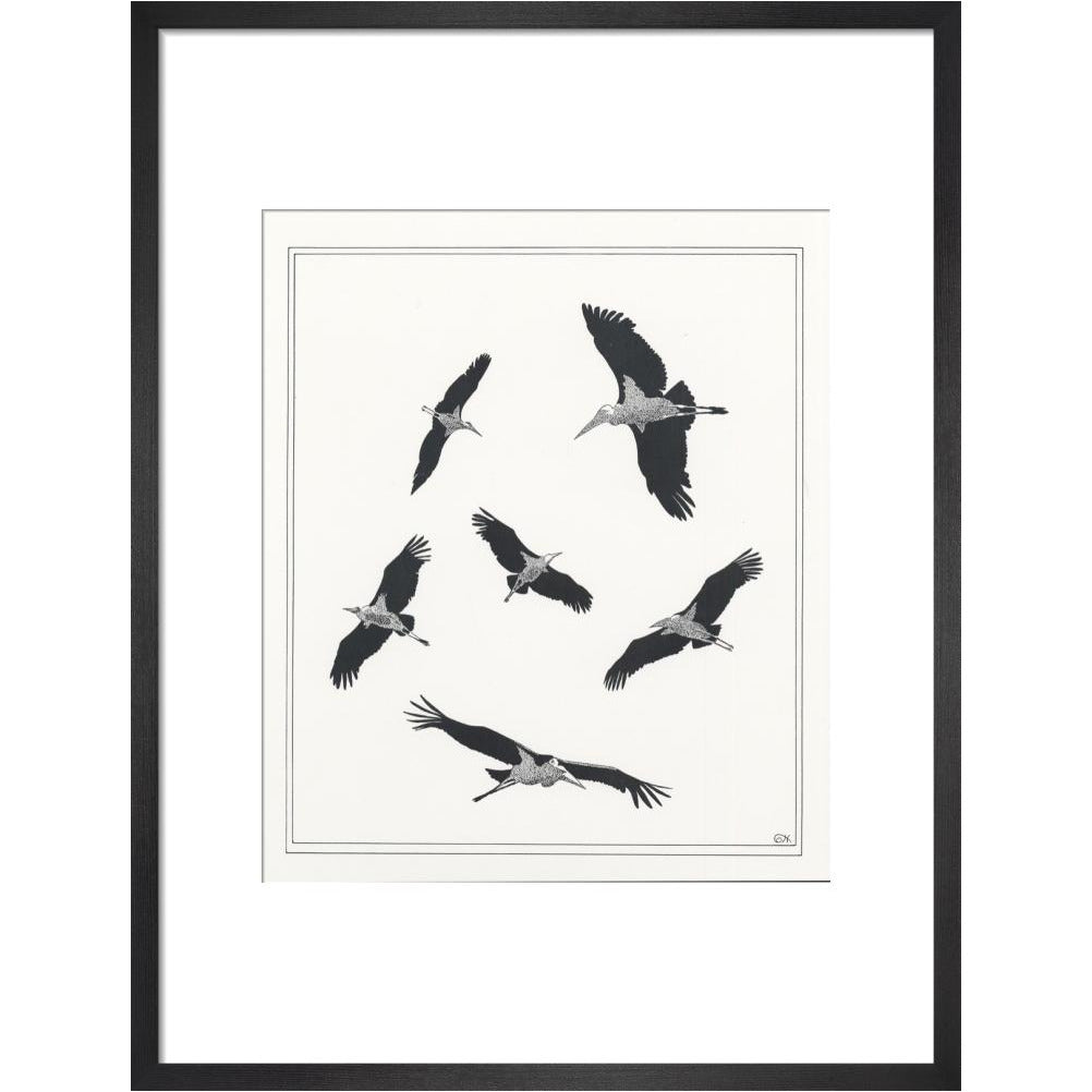 Marabou Sailing - art print