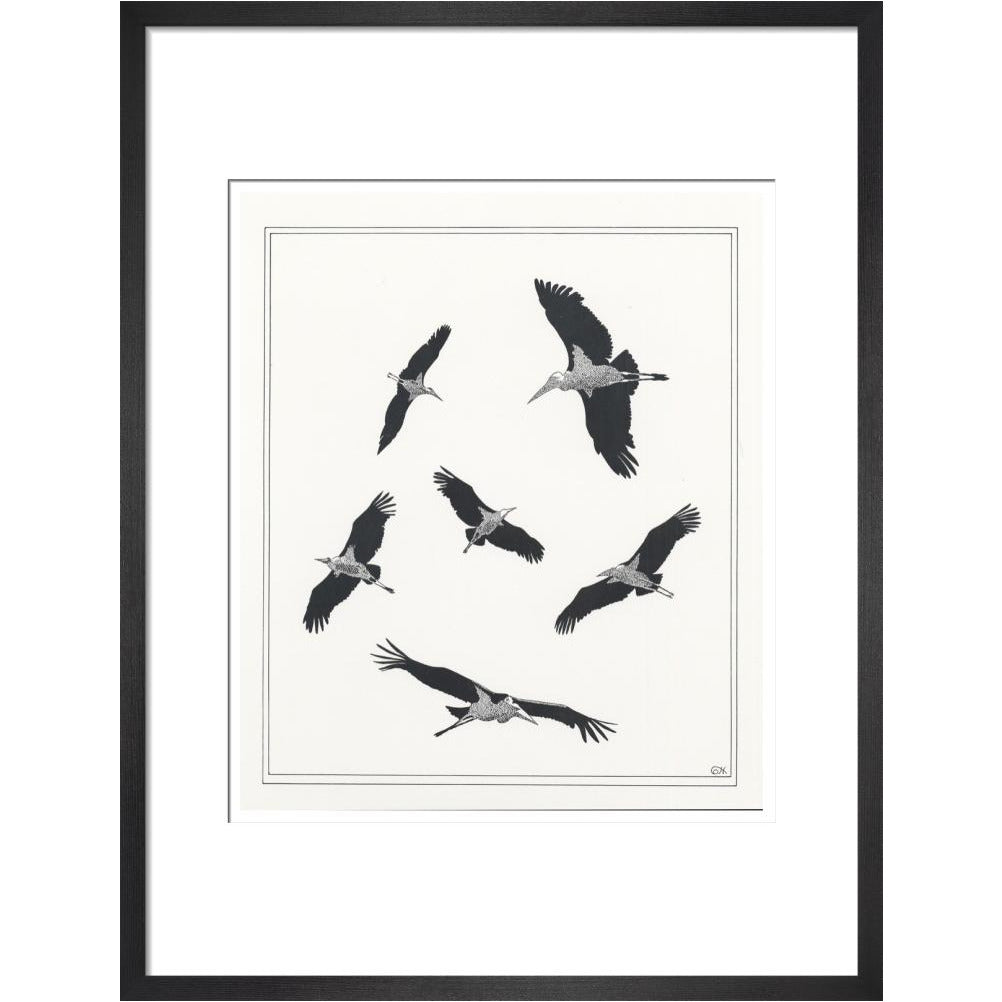 Marabou Sailing - art print