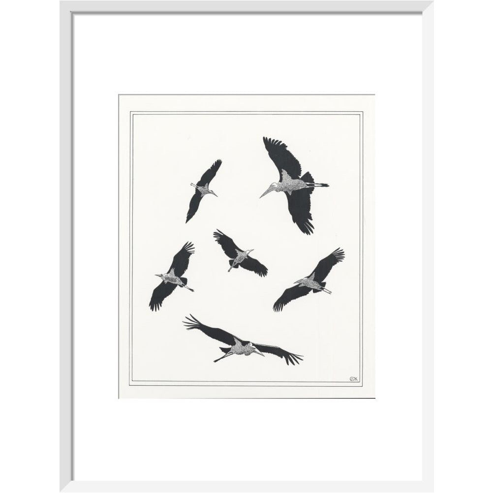 Marabou Sailing - art print
