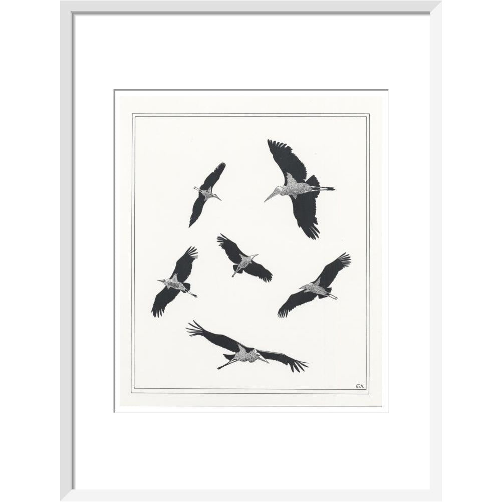 Marabou Sailing - art print
