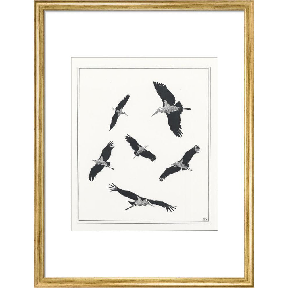 Marabou Sailing - art print