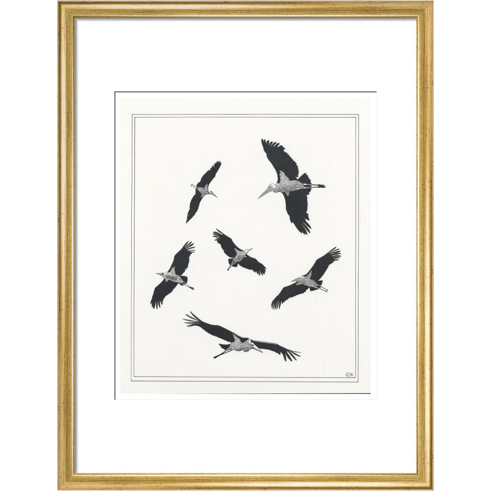 Marabou Sailing - art print