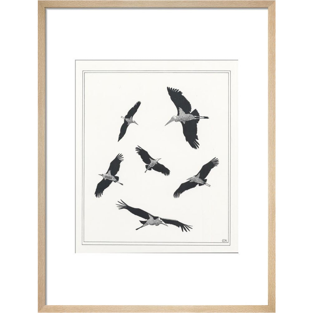 Marabou Sailing - art print