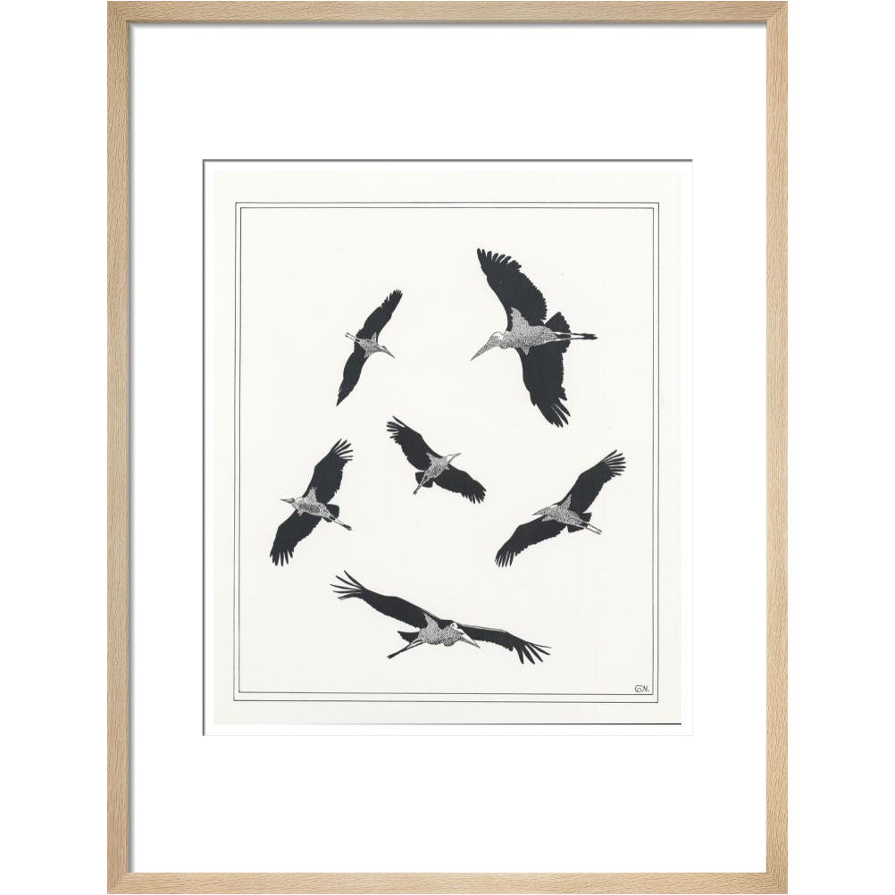 Marabou Sailing - art print