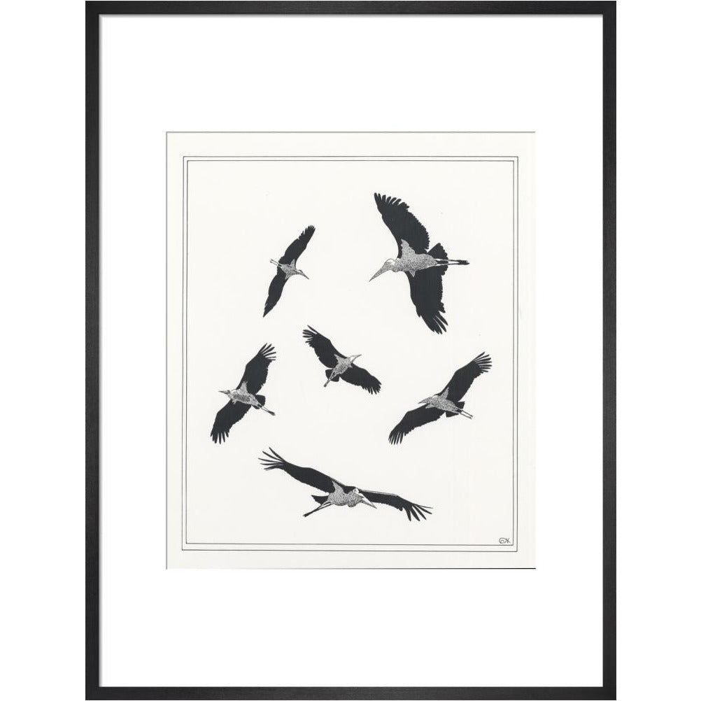 Marabou Sailing - art print