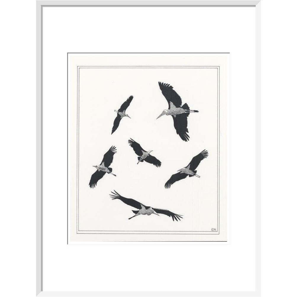Marabou Sailing - art print