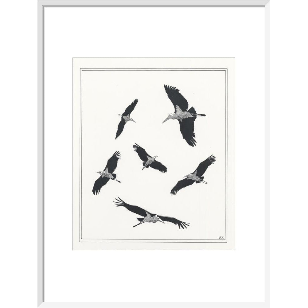 Marabou Sailing - art print