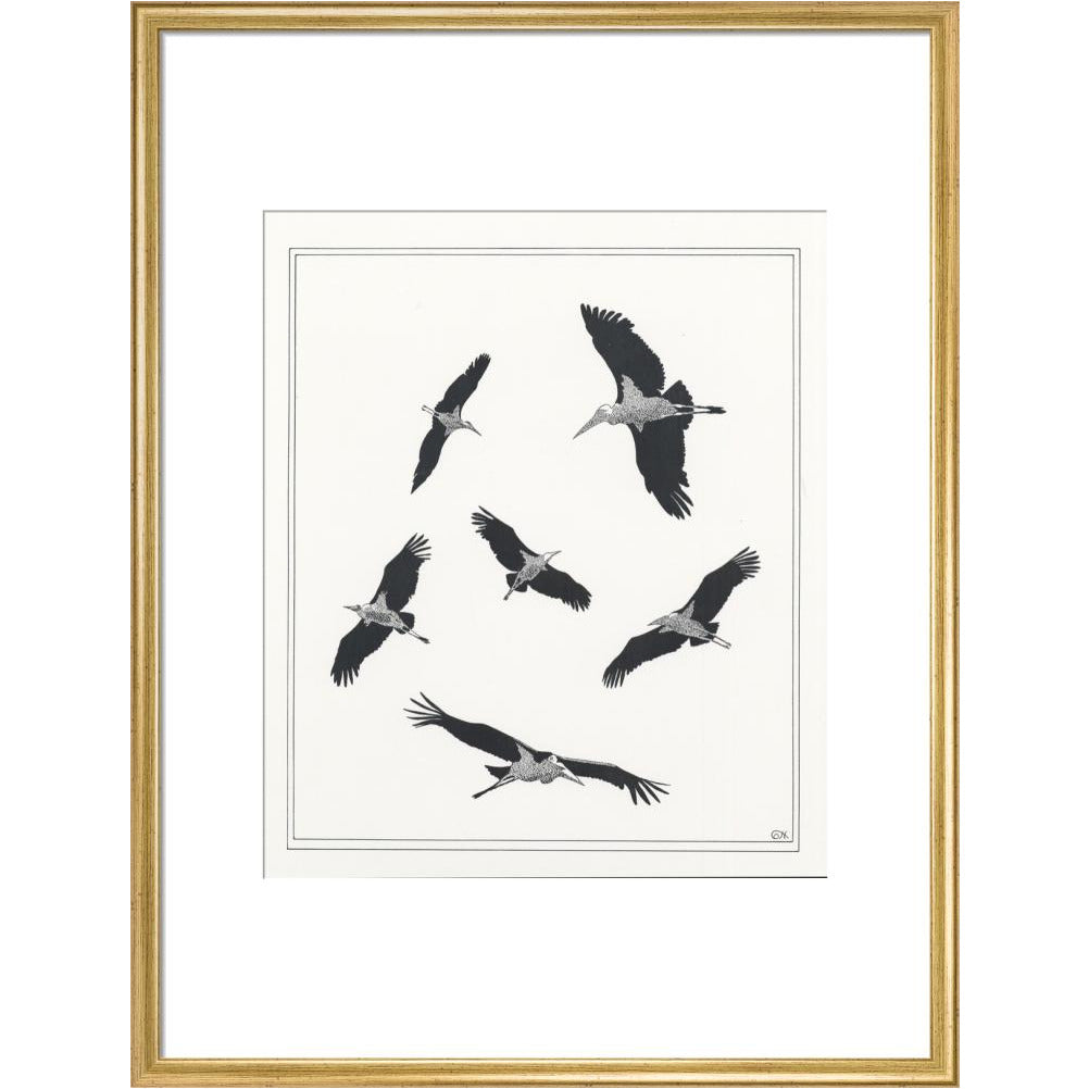 Marabou Sailing - art print