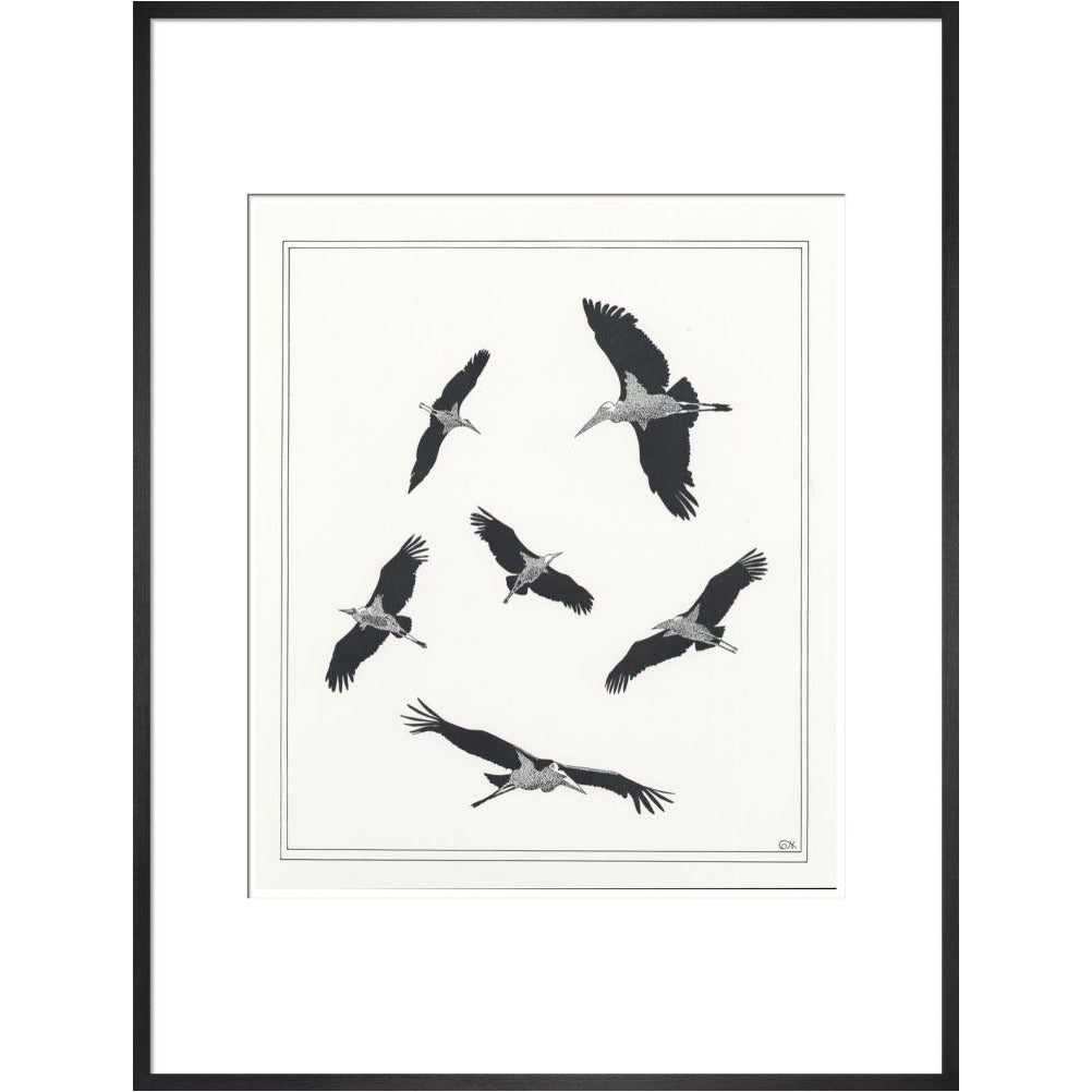 Marabou Sailing - art print