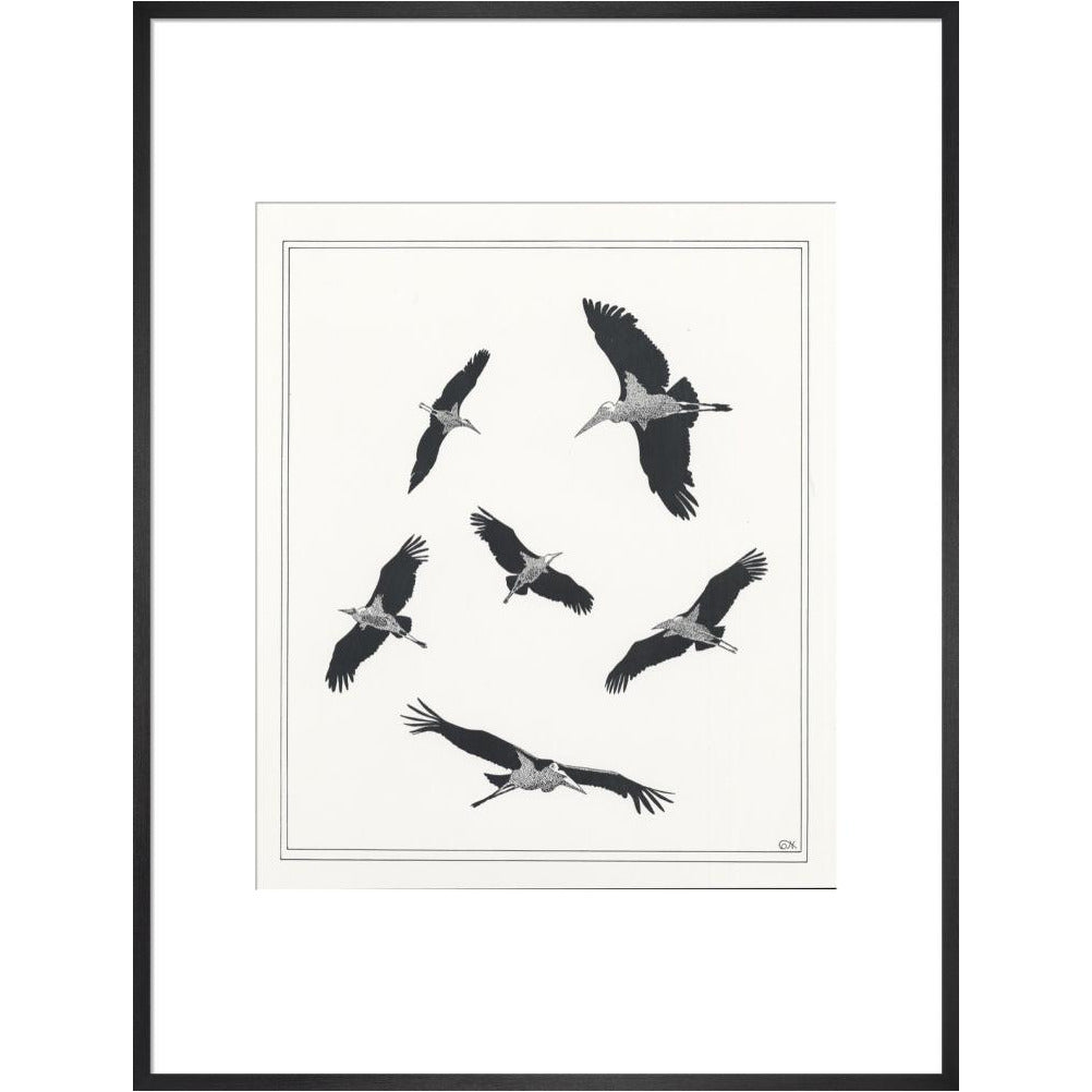 Marabou Sailing - art print