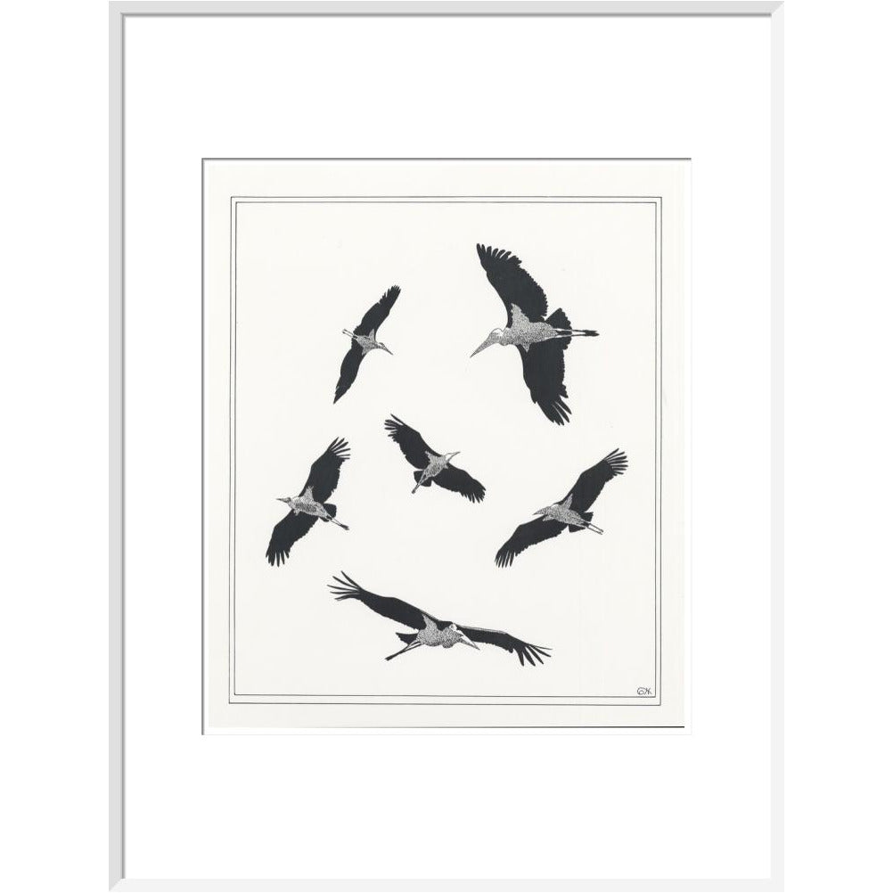 Marabou Sailing - art print