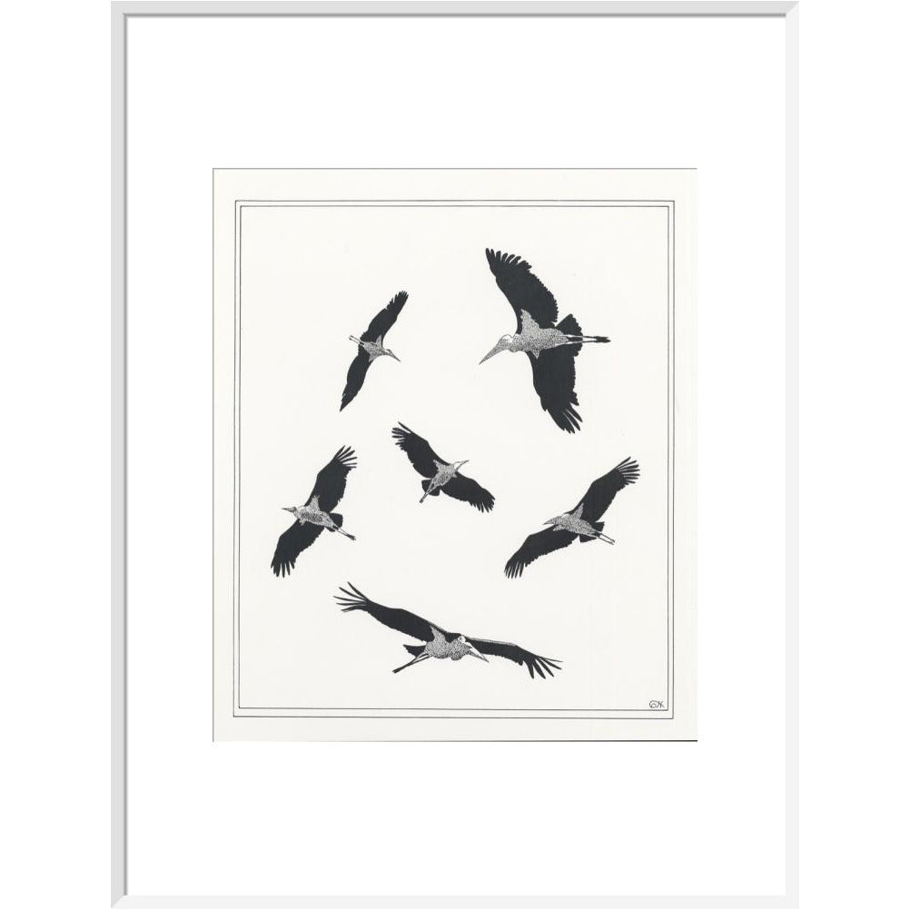 Marabou Sailing - art print