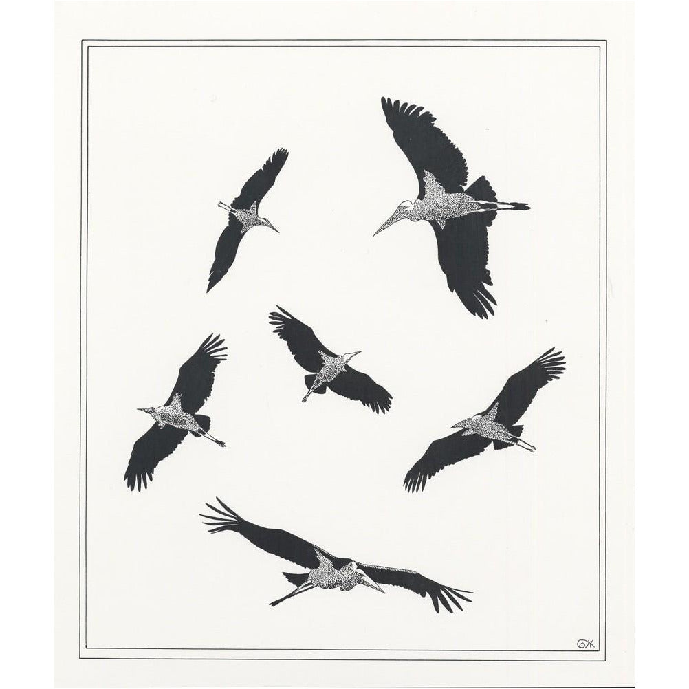 Marabou Sailing - art print
