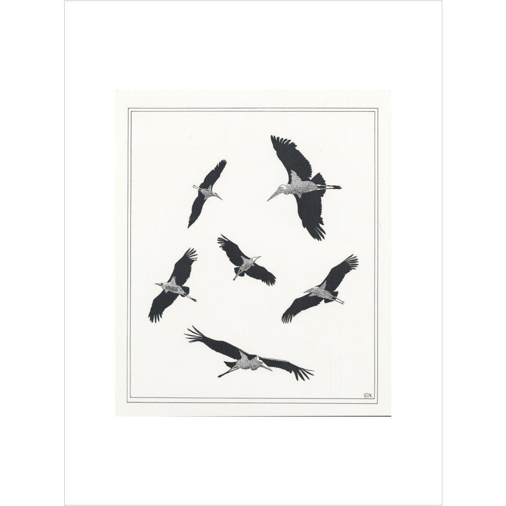 Marabou Sailing - art print