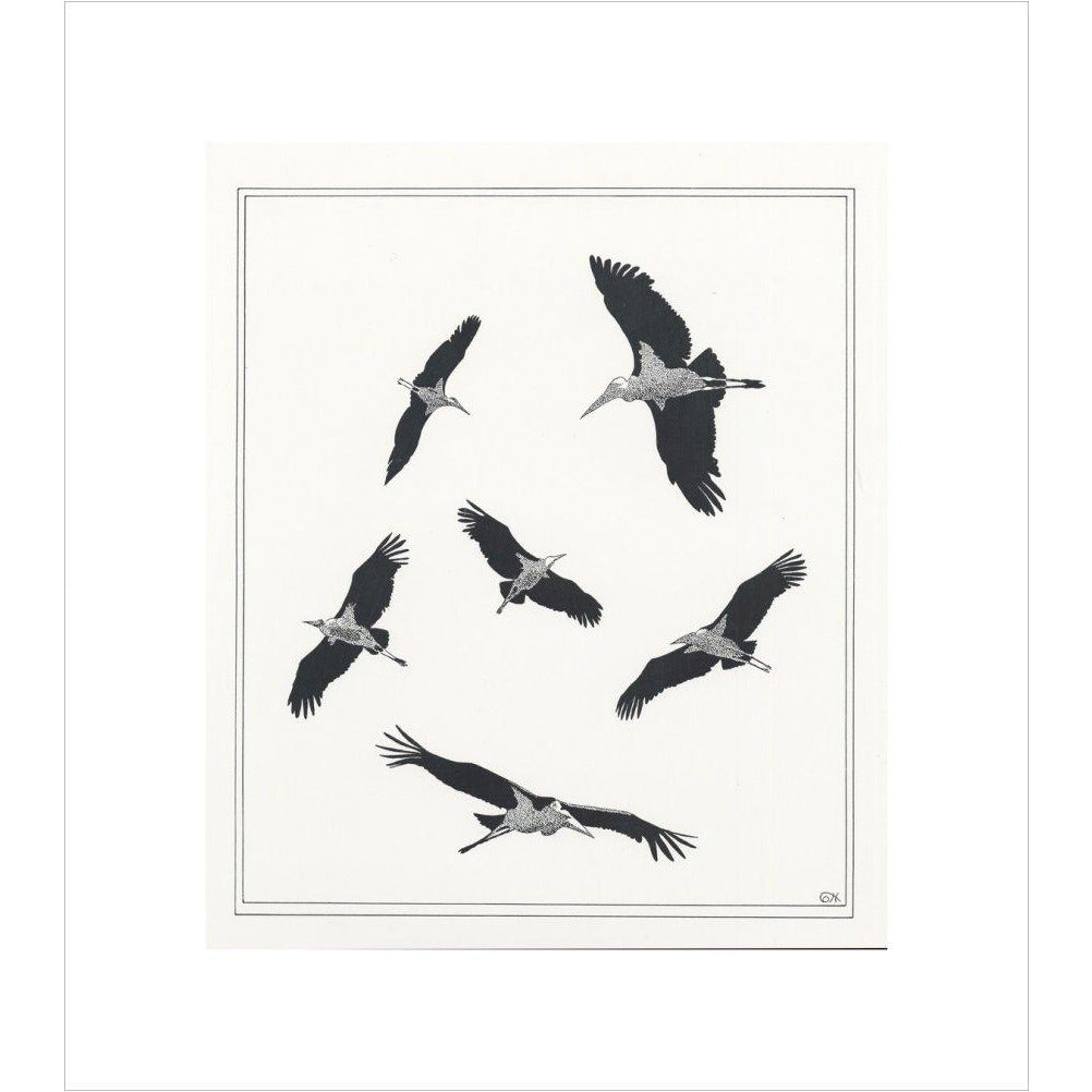 Marabou Sailing - art print