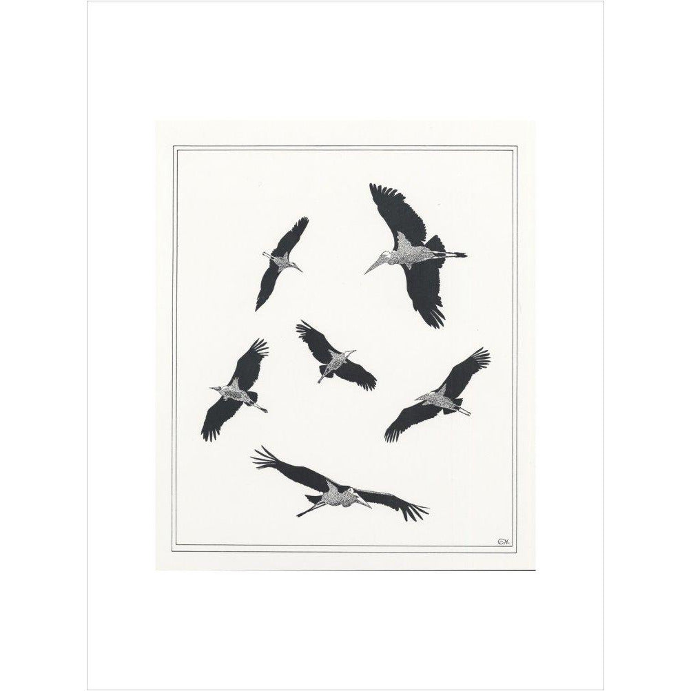 Marabou Sailing - art print